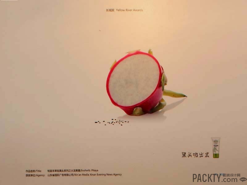 中国国际广告节作品(2)
